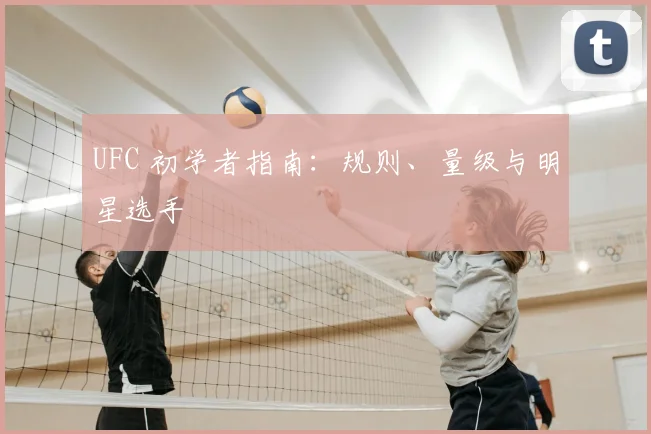 UFC 初学者指南:规则、量级与明星选手