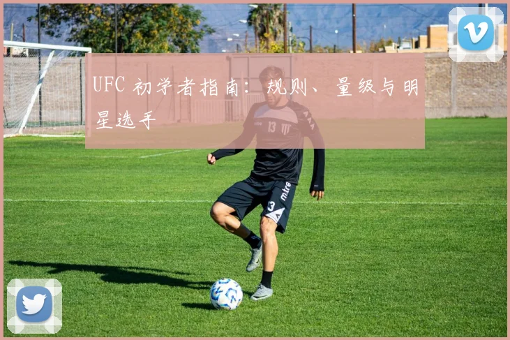 UFC 初学者指南:规则、量级与明星选手