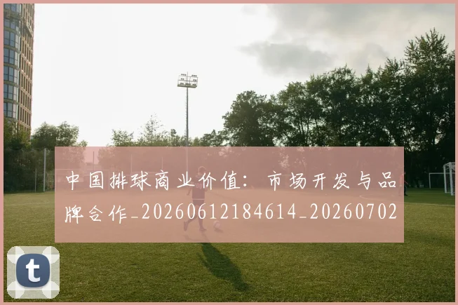 中国排球商业价值:市场开发与品牌合作_20260612184614_20260702202124