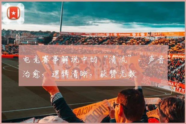 电竞赛事解说中的“清流”，声音治愈，逻辑清晰，获赞无数